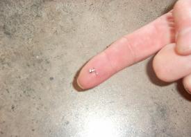 DENNIS TATTOO Voil pourquoi on nomme ce bijou un MICRO dermal ! Trs petit, n'est-ce pas?